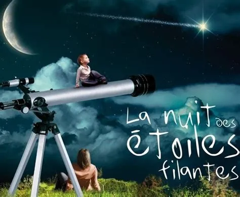 La Nuit des Étoiles Filantes: Quand Orchestre de Chambre des Jeunes s’est Élevé au-dessus du Bruit, Inspirant une Génération de Musiciens